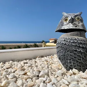 Apartamento Vivienda Gorrión, Morro Jable (Fuerteventura)